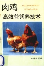 肉鸡高效益饲养技术