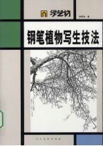 钢笔植物写生技法