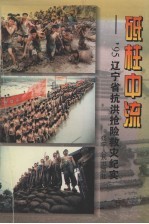 砥柱中流 ’95辽宁省抗洪抢险救灾纪实