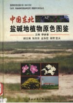 中国东北盐碱地植物原色图鉴 中英文本