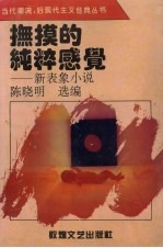 抚摸的纯粹感觉 新表象小说