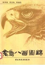 禽鸟八百图锦