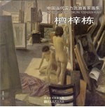 中国当代实力派油画家画集 檀梓栋