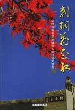刺桐花正红:泉州百名双拥模范人物报告文学集