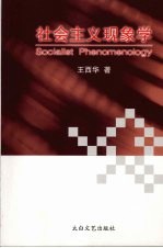 社会主义现象学