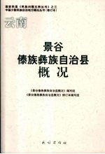 景谷傣族彝族自治县概况 修订本