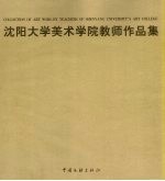沈阳大学美术学院教师作品集