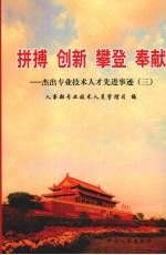 拚搏 创新 攀登 奉献:杰出专业技术人才先进事迹 3