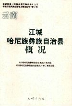 云南江城哈尼族彝族自治县概况