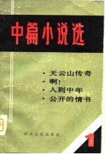 中篇小说选(1)