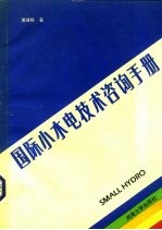 国际小水电技术咨询手册