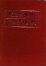 血液病骨髓组织病理学彩色图谱