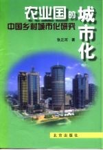 农业国的城市化 中国乡村城市化研究