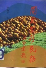 开发型移民好 第1集