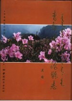 青龙满族自治县志