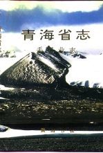 青海省志 手工业志