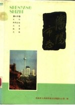 沈阳市志 13 文化新闻出版 卫生体育文物