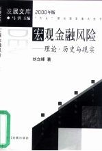 宏观金融风险 理论·历史与现实