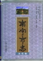南宁市志 文化卷