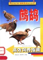 鹧鸪高效饲养指南