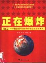 正在爆炸 R&V:一个整合全球资源的中国自主创新案例