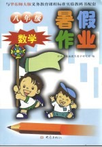 暑假作业 数学 八年级