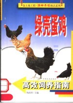 绿壳蛋鸡高效饲养指南