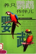 养只鹦鹉作伴儿