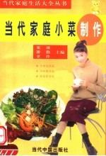 当代家庭小菜制作