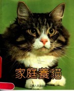 家庭养猫