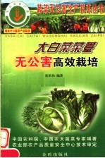 大白菜菜薹无公害高效栽培