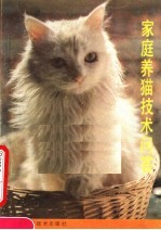 家庭养猫技术问答