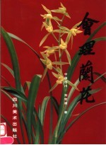 会理兰花
