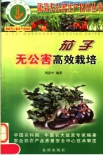 茄子无公害高效栽培