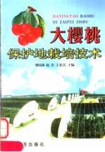 大樱桃保护地栽培技术