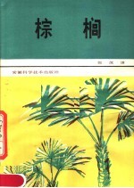 棕榈
