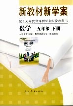 新教材新学案 数学 五年级 下