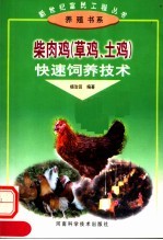 柴肉鸡 草鸡、土鸡 快速饲养技术
