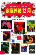 家庭养花12月