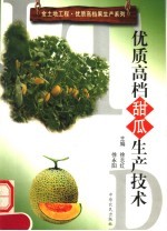 优质高档甜瓜生产技术