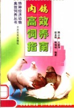 肉鸽高效饲养指南