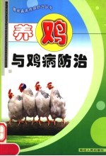 养鸡与鸡病防治