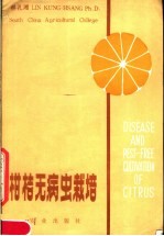 柑桔无病虫栽培