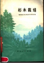 杉木栽培