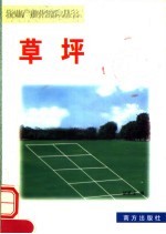 草坪
