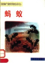 蚂蚁