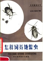 怎样饲养地鳖虫
