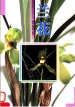 兰花