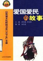 爱国爱民的故事