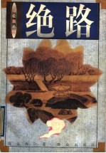 绝路 新公案小说